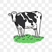 Cow